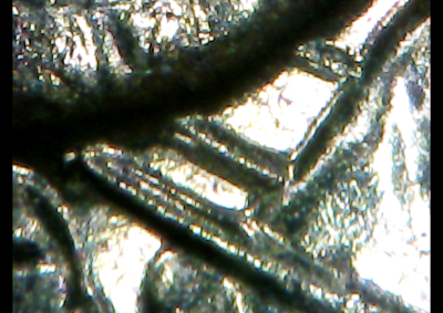 Quick Camera Image 2024-08-30 at 12.00.29 AM.png