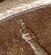1727755407625.jpg