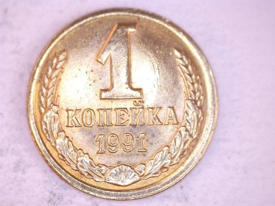 2451131429671.jpg