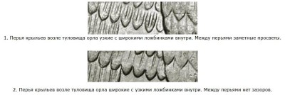 Скриншот-27-01-2026 09_17_53.jpg