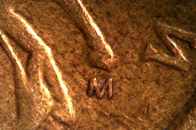 Sun Feb 15 18-03-22.jpg