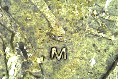 Sun Feb 15 18-11-04.jpg