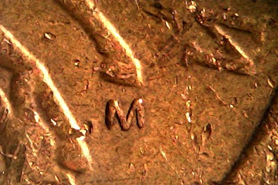 Sun Feb 15 18-08-51.jpg