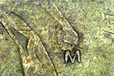 Sat Feb 14 20-39-44.jpg