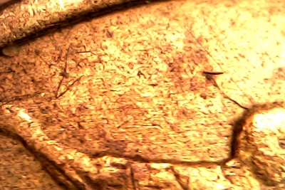 Wed Feb 18 18-49-27.jpg