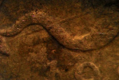 Thu Feb 19 13-15-53.jpg