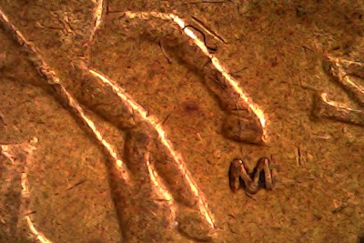 Mon Feb 23 09-29-27.jpg