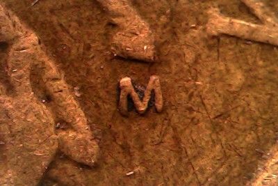 Thu Feb 26 12-06-23.jpg