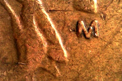 Thu Feb 26 16-25-19.jpg