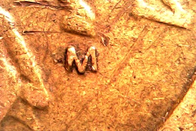 Thu Feb 26 16-26-01.jpg