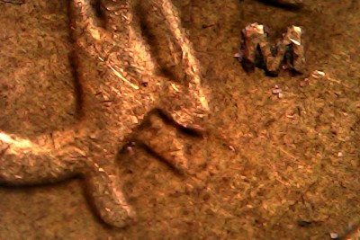 Fri Feb 27 10-34-05.jpg