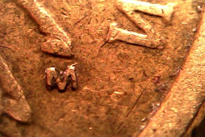 Fri Feb 27 10-37-05.jpg