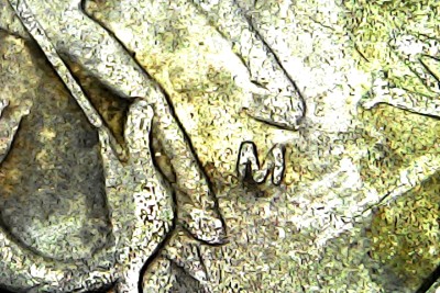 Sun Mar 15 14-54-58.jpg