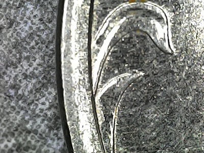 20260515-190933-012.jpg