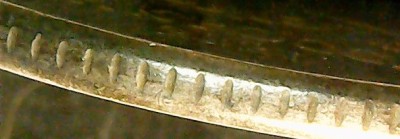 WIN_20260902_18_20_52_Pro.jpg