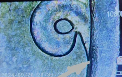 20260905_180238.jpg