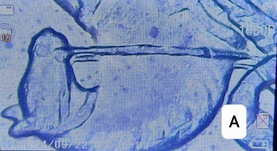 20260906_223853.jpg