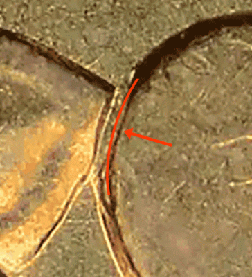 01.gif