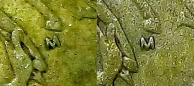 imgonline-com-ua-2to1-ux52qJLlD2Jyhamz.jpg